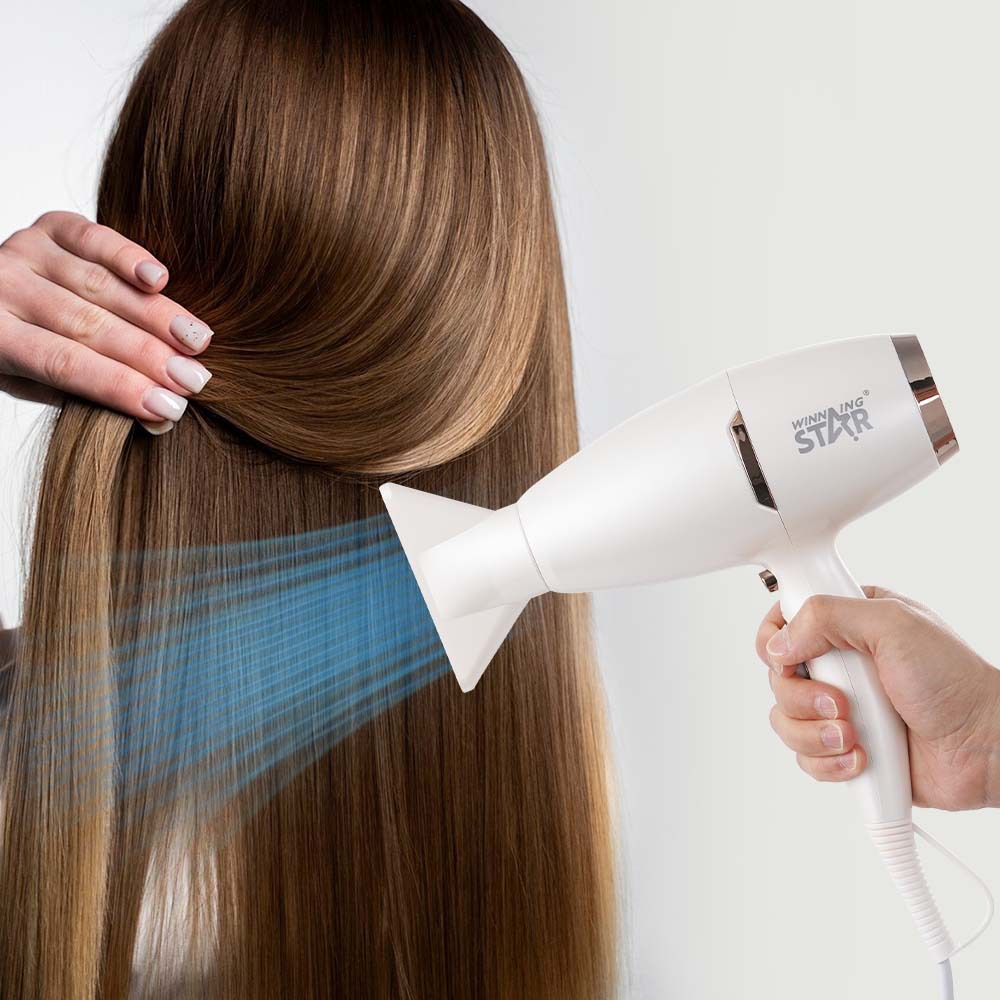 Winning Star comercio exterior hogar frío y caliente velocidad del viento seco de alta potencia anti-secado secador de pelo Hair Dryer