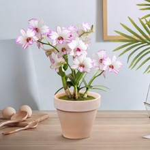 �羳����������īʯ��������ʯ���m������˻��ܾGֲ�ļ��_�����l