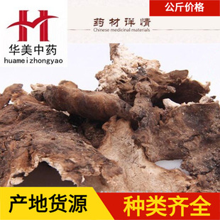 ����Ƥ1000���A����ș ��ș�ĬF؛���l���� ����Ƥ ��؛ ����ă�