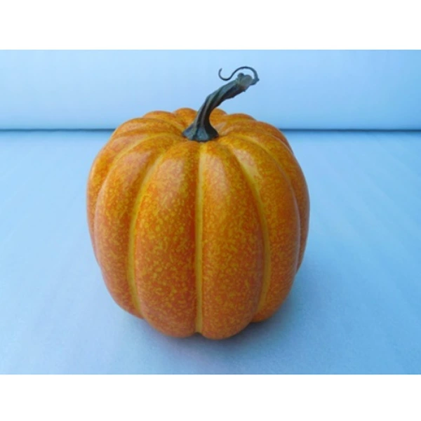 20cm faucet orange pumpkin