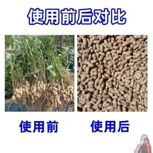 YlСժɝûÓCÓCժCôԄ