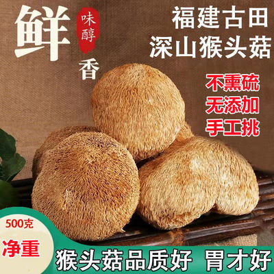 high quality Hericium dried food Hericium wholesale Soup Monkey mushroom Mushroom Hericium Net weight