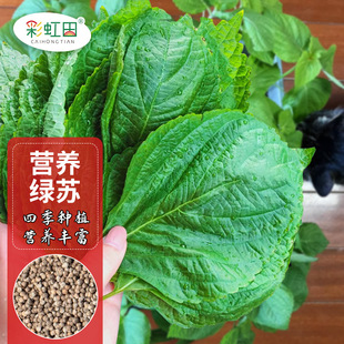 �ļ����K���~�N�ӠI�B�G�K���������~�K�ӷN�ݺ����׷N֧�ִ��l