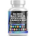 现货 海藻胶囊 Sea Moss Capsules 电商热销款 跨境专供 源头工厂