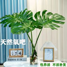 ˮ��������ˮ�B�҃ȃ����՚��ļ�����͏d�k������ꎴ��~�^�~�Gֲ