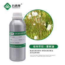 茶树油天然植物精油互叶白千层精油水蒸气蒸馏提取1KG茶树精油现