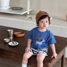 男童夏装薄款韩版童装夏款儿童套装夏季宝宝衣服厂家批发加工定制