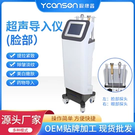 经络治疗仪;康复理疗设备;其他按摩器材