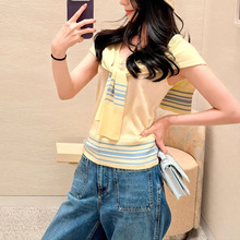 26�ȼٳ�Ƭ ������ĸ�����������������֯����
