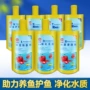 水质水族细菌消化鱼缸