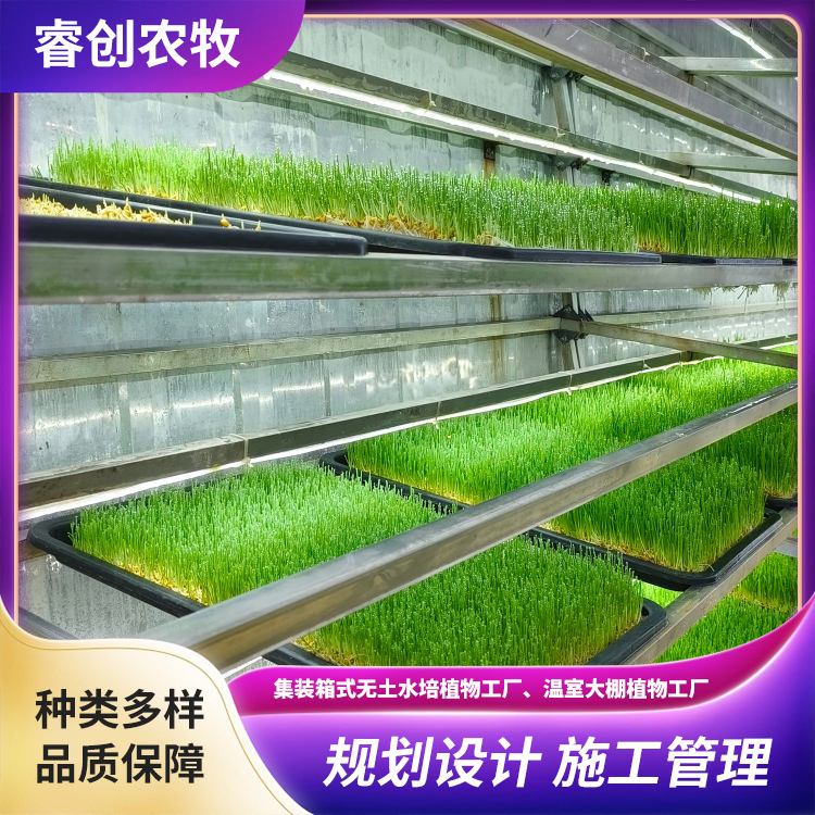 厂家供应集装箱植物工厂垂直种植设备 集装箱水培牧草设备