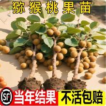 �޽ӫJ������t������ܛ���J��������Ԯ���Y���ϱ����Nֲ������