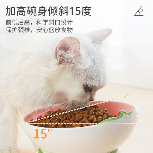Amazon Cat Bowl Ceramic Cat Plate Cat Food Bowl Neck Support Slanted Mouth Cervical Protection Drinking Dog Bowl High Leg Pet Supplies