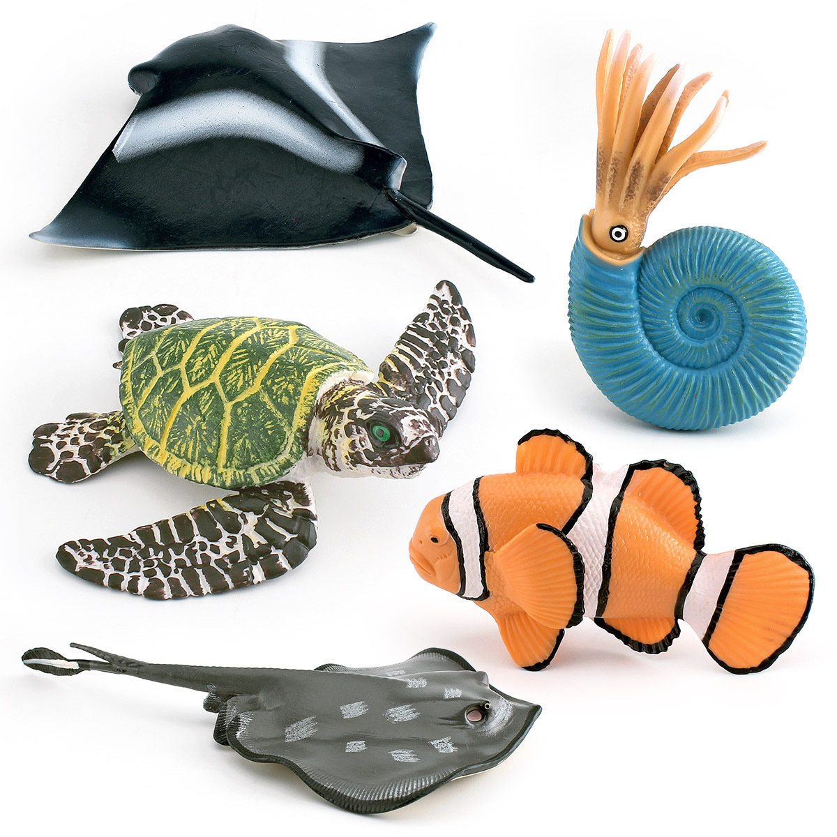Transfronterizo de simulación de Animales Marinos de peces gran raya de tortuga verde pez payaso Nautilus Thorn modelo estático decoración de escritorio