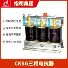 ָ������CKDG����ϵ�� �˲������������翹�� ����������ߵ翹��