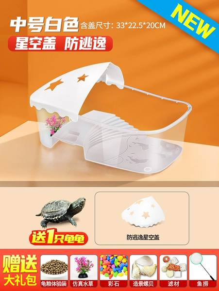 Medium -sized white cylinder [Starry Sky Covered Fleeing] Turtle+Gift Pack