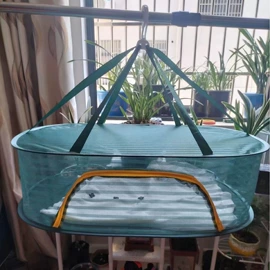 晾晒篮/绳;鸟类;晾衣架晾晒架