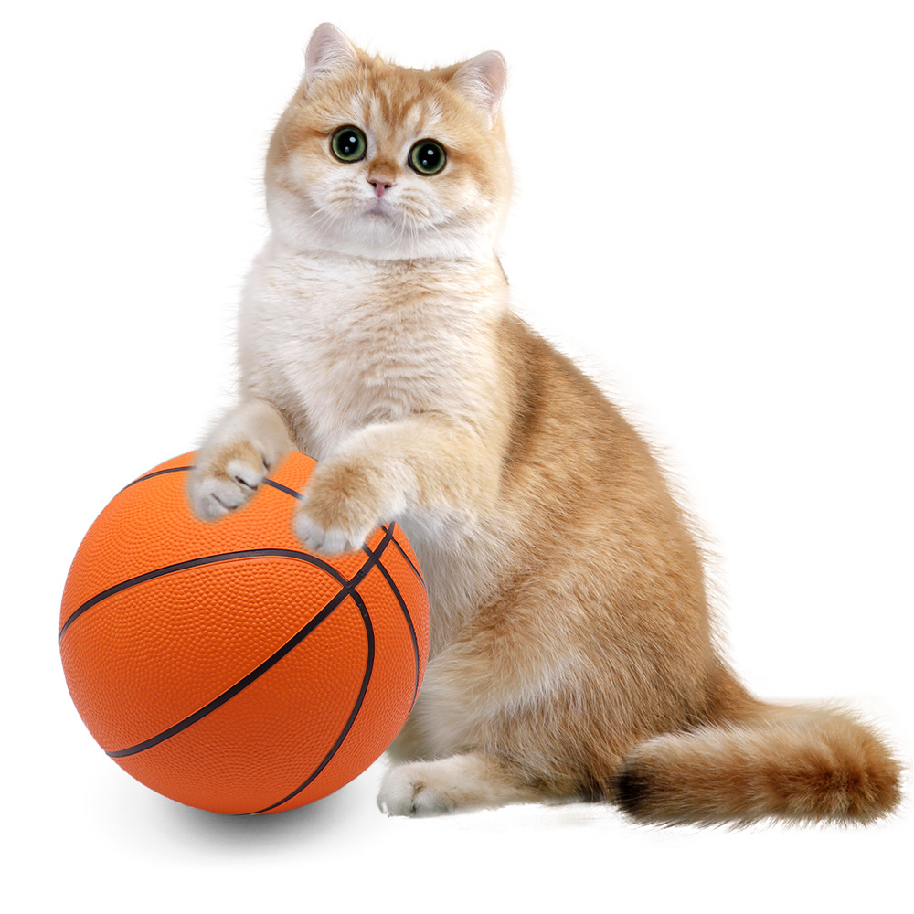 Pelota de juguete para mascotas Juguete de goma para perros Auto-hey baloncesto para aliviar el aburrimiento