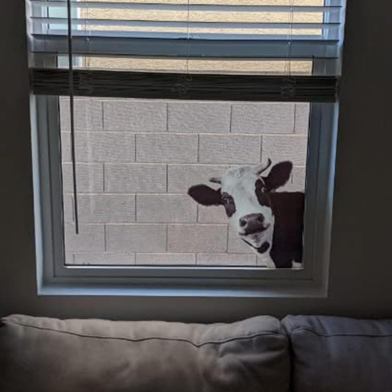 Amazon adorable vaca decal de ventana automóvil granja sala de aula habitación de niños decoración de casa pegatinas image 3