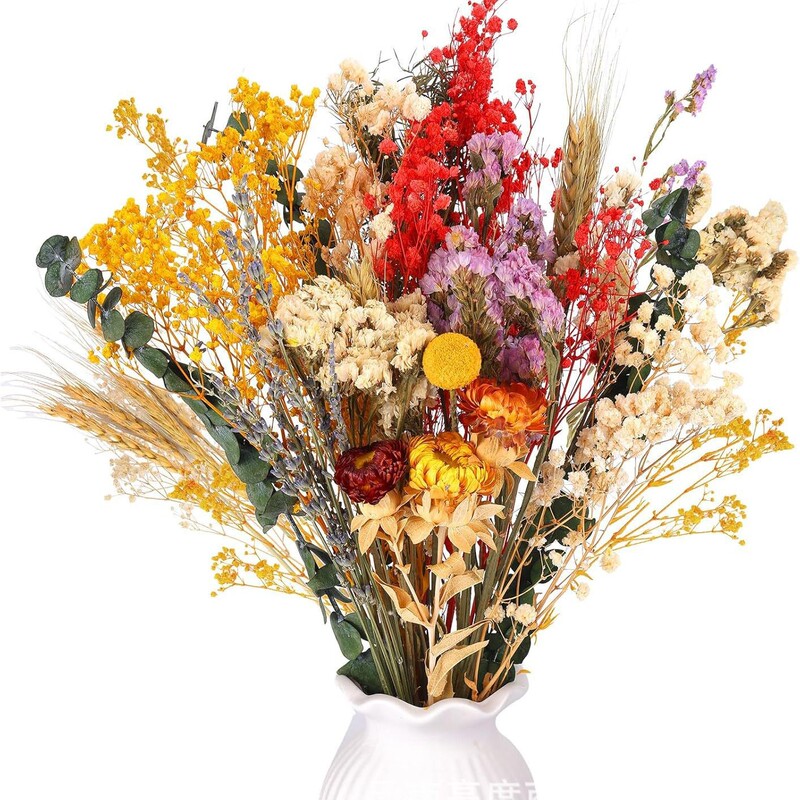European Amazon Best-Selling Dried Flowers, Everlasting Bouquets, Baby's Breath, Forget-Me-Nots, Yunnan Dried Flowers, Decorative Real Flowers for Home Decor European Amazon Best-Selling Dried Flowers, Everlasting Bouquets, Baby's Breath, Forget-Me-Nots, Yunnan Dried Flowers, Decorative Real Flowers for Home Decor