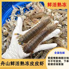 ƤƤ�r��ɽ�r������r�����r���r�ő����r���F�r�ش��r���r���]