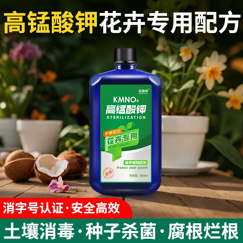 Цветок Centennial Марганцовка специальная для стерилизации и дезинфекции Маленький цветочный горшок Растение в горшке Сукулентный дезинфицирующий раствор Оптовая продажа