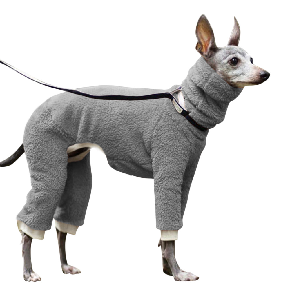 Greyhounds Whippet Coat
