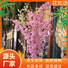 �������ȼ����~ ���~ͩ�X�� ����~�����ȼ��� �S��ֱ�N