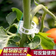 �����A�����A�������۾Gֲ�A�����̶��A�������ӹ̶�������ֲ��A
