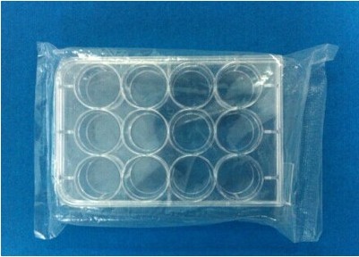 12孔细胞培养板 细菌培养板 菌体培养板 反应板 酶标板
