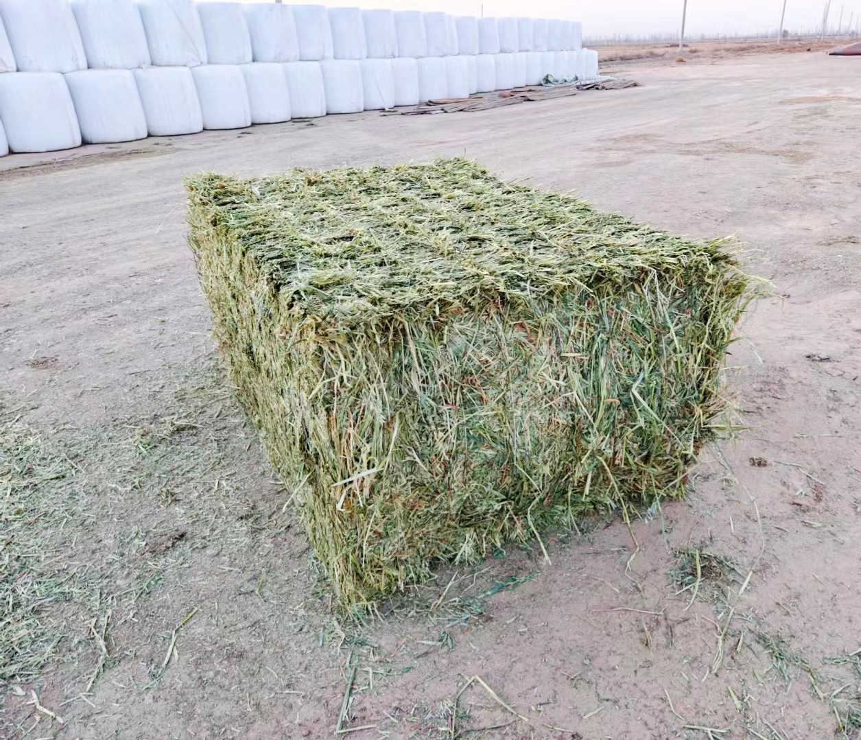 d3840e0074e966bbf41315ff877bfa