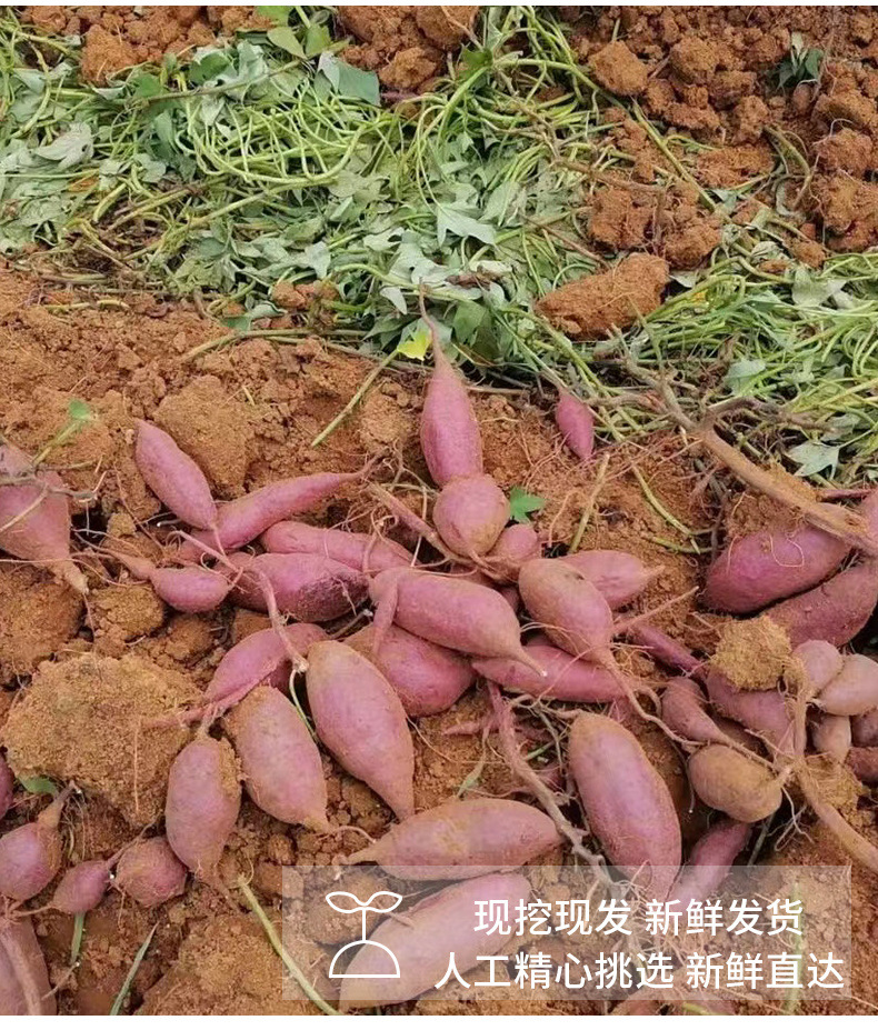 dba1a8b5-24f1-4971-8d26-ffe4f0dc9fc1.jpe