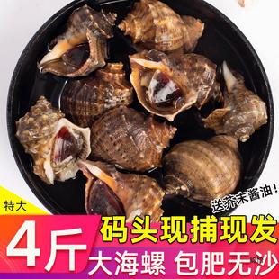 �����r����r��ݬF�l����ˮ�a�F����S���l