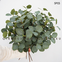 ��֦�ȼ������l����֦ ��֧�O���~ ��֧���X�~�Gֲ�҃Ȼ�c�b�