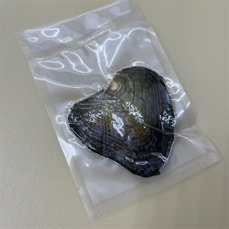 Vacuum small clam wholesale Zhuji origin Pearl small clam wholesale small clam vacuum packaging foreign trade explosives