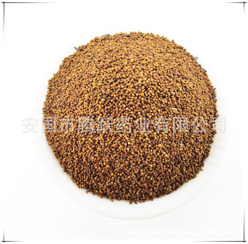 Dried Cuscuta Seeds Tu Si Zi 1kg Natural Sun Dried Chinese Dodder Seeds for Decoction and Tea overview