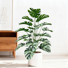 ����ֲ�ﻨ�����񱱚W�L�Ҿӿ͏d�����~�Gֲ�@���b��쾰�٘�羳