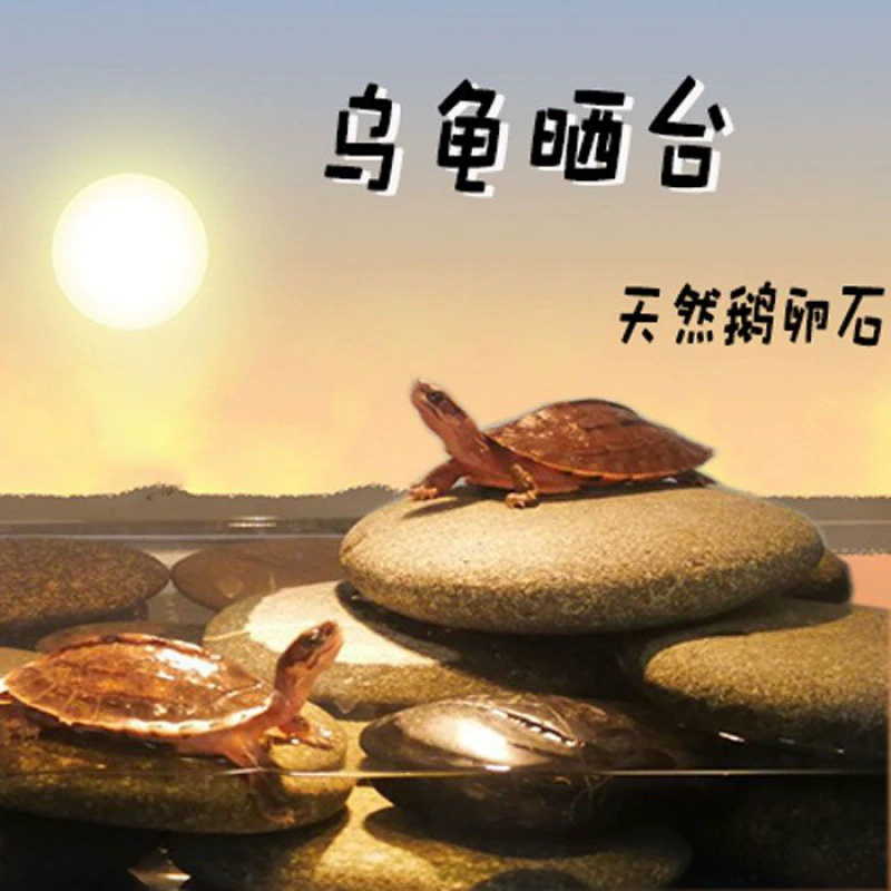 Черепаха Солнце Стол Камень Галька Стол для скалолазания Большой бассейн Танк Плоский DIY Пейзаж Солнце Вид сзади Штабелируемый плавучий остров