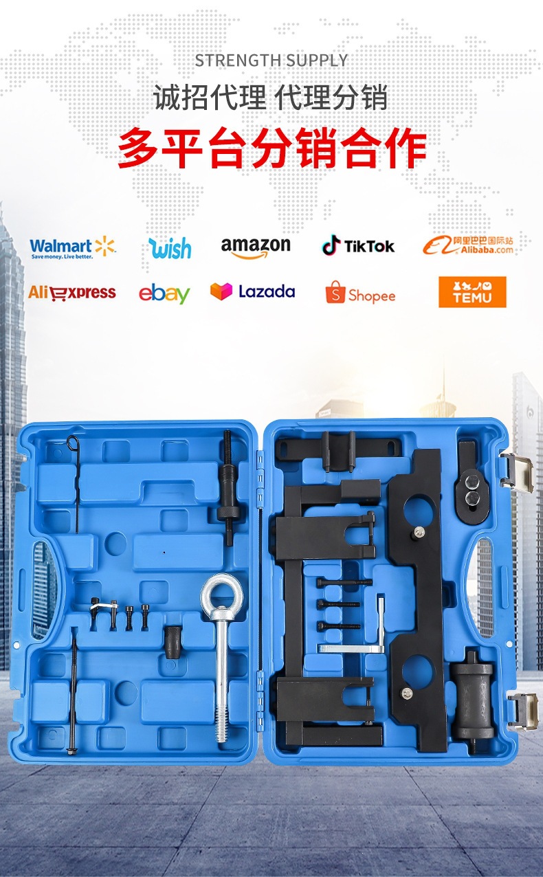 Bmw N20 N26 Engine Timing Tools, Fuel Injector Tools, Balance Shaft, Flywheel, Lifting Ring, Auto Repair Tools