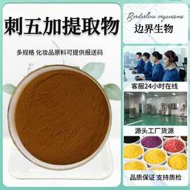 刺五加提取物 皂苷B+E0.8% -2% 保健品原料水溶 西伯利亚人参提取