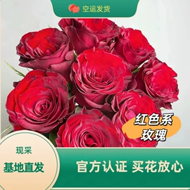 未知行业(id参照不上)