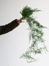 ♔绿色永生花仙气十足干枝手捧配叶悬挂花材造型树枝场景布置拍摄