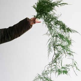 ♔绿色永生花仙气十足干枝手捧配叶悬挂花材造型树枝场景布置拍摄