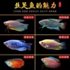 Silk-footed fish 3-5cm, 1 each of 6 types, 6 in total