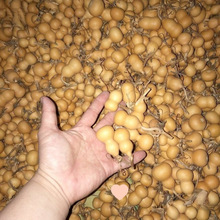 ���J��ȻС���J�]��覴��������Π��������]�п��Ԕ[��Ұ�������F