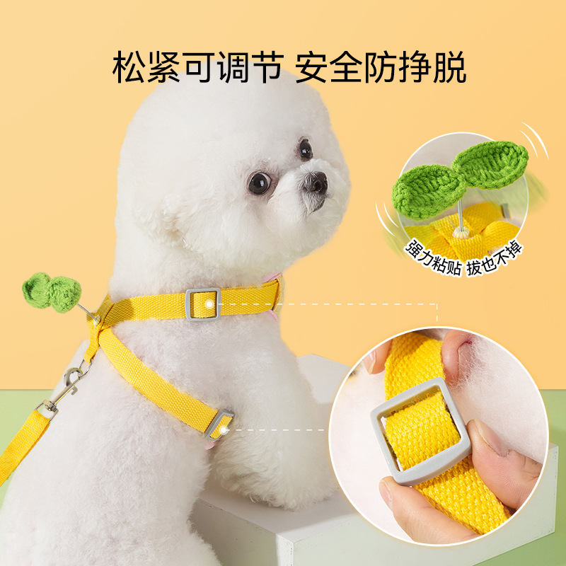 Nuevos perros salen, flores coloridas, mecedoras, correas para el pecho tipo chaleco, correa para gatos, cuerda para pasear a los perros