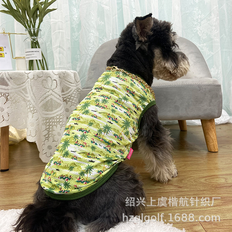 ﹷʱӡT· շӡ͸TСȮװ