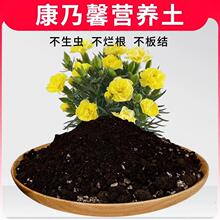 康乃馨专用土养花专用营养土家用椰糠腐殖植料营养有机肥土种植土