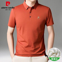Ƥ��������ɣ�Q�z��Polo����ʿ2026�ļ��r�����e����T������