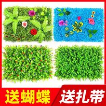 ƺGֲT^ֲb̨҃ϼٻ